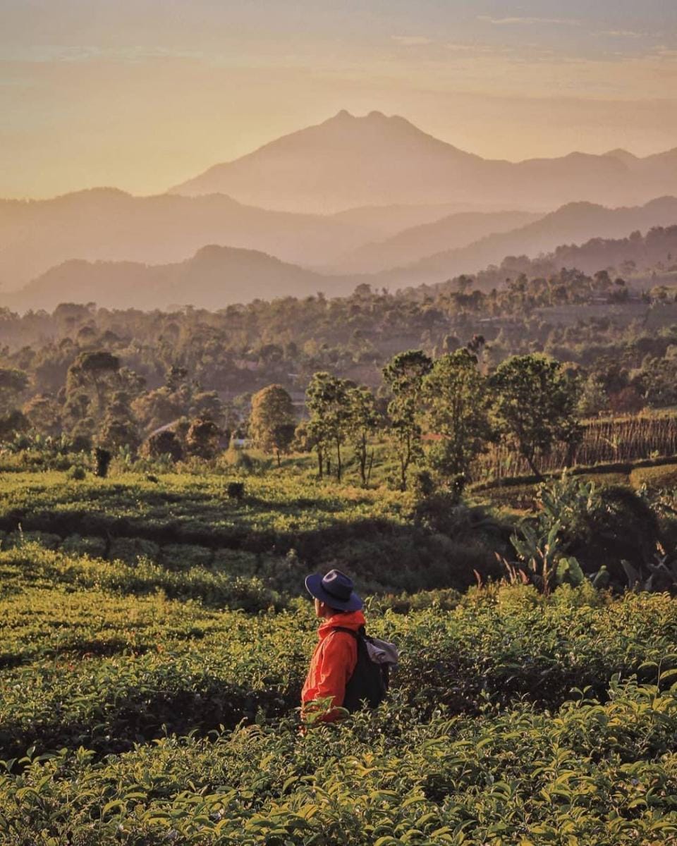 instagram.com/sisadoe