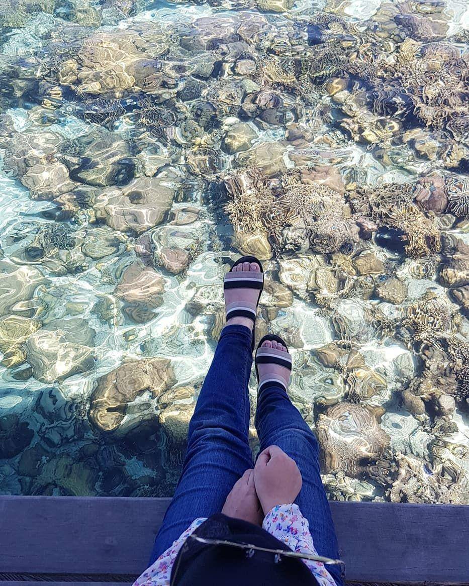 Instagram/amaliafinas