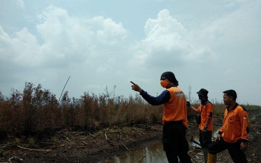 Tim darat satgas karhutla tengah memadamkan api (IDN/Istimewa)