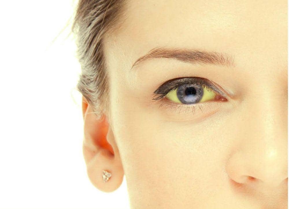 pancreaticcanceraction.org