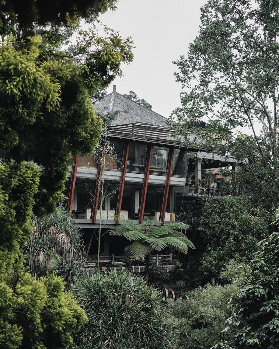 instagram.com/congogallery