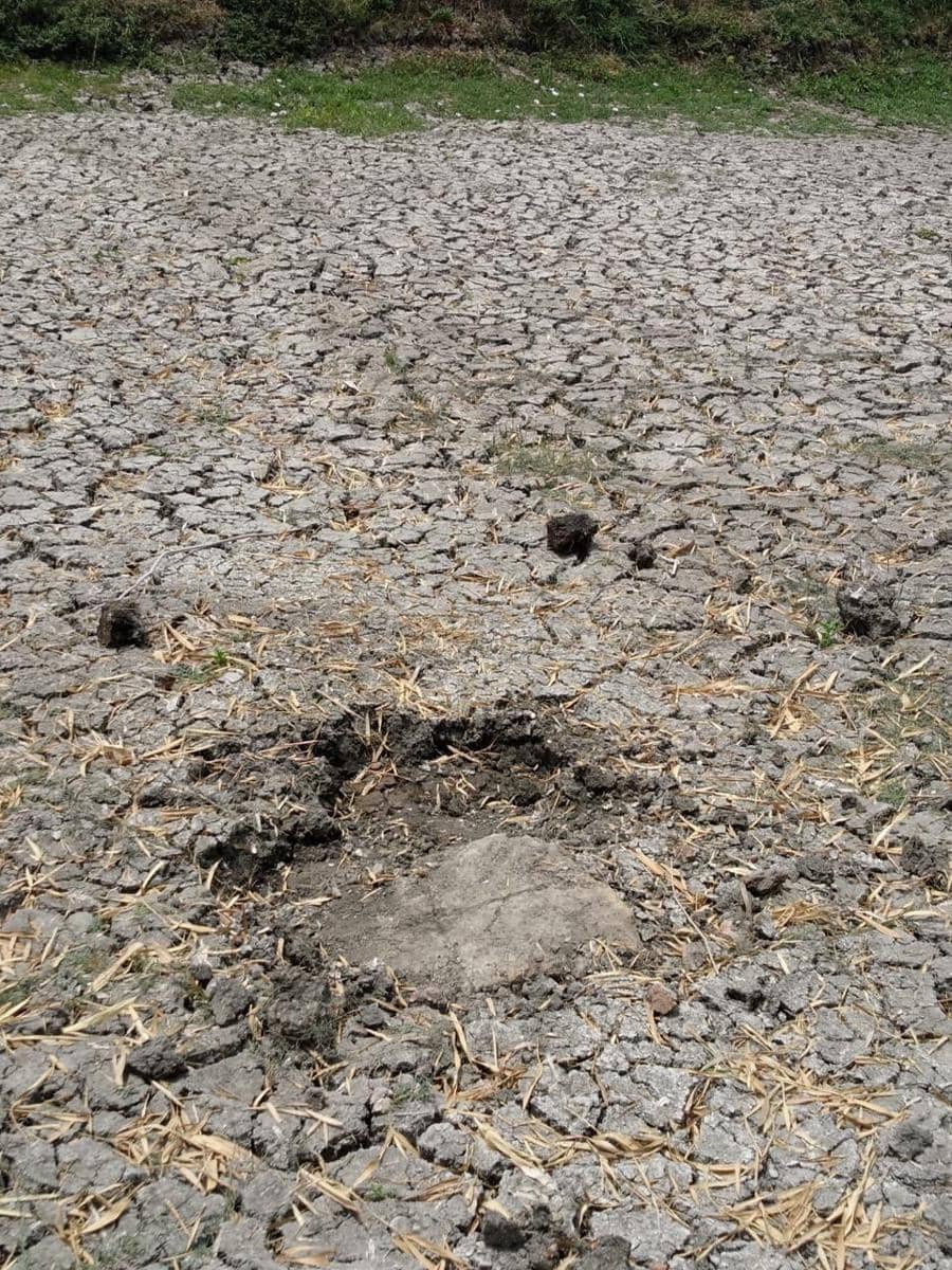 Bangunan yang menyerupai makam ditemukan warga di tambak ikan. Dok. IDN Times/Istimewa