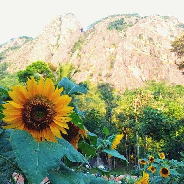 instagram.com/yulitangelina