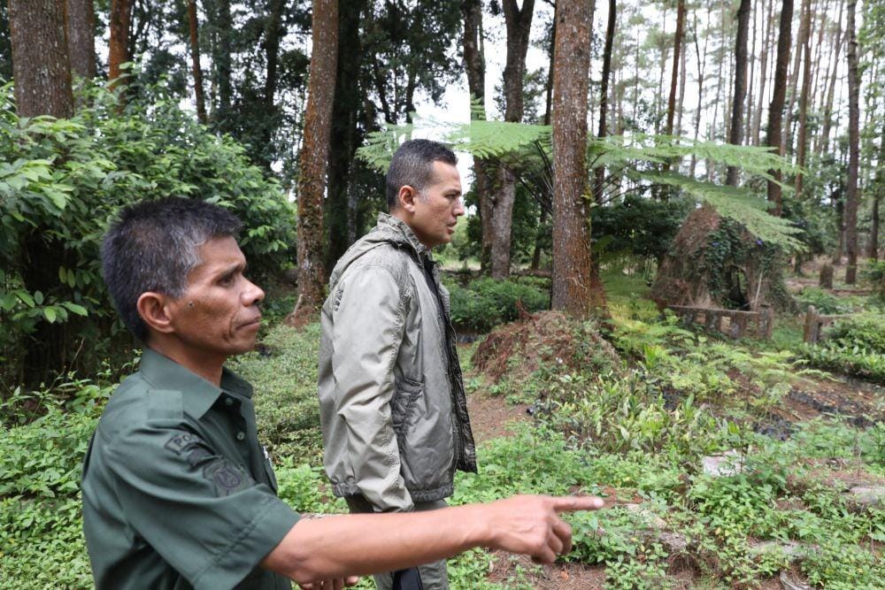 Wakil Gubernur Sumut Musa Rajekshah saat meninjau Tahura, Kabupaten Karo beberapa waktu lalu. (Dok Humas Pemprov Sumut)