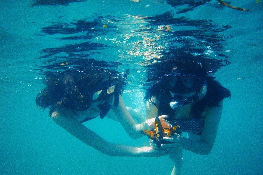 instagram.com/sephorasievert