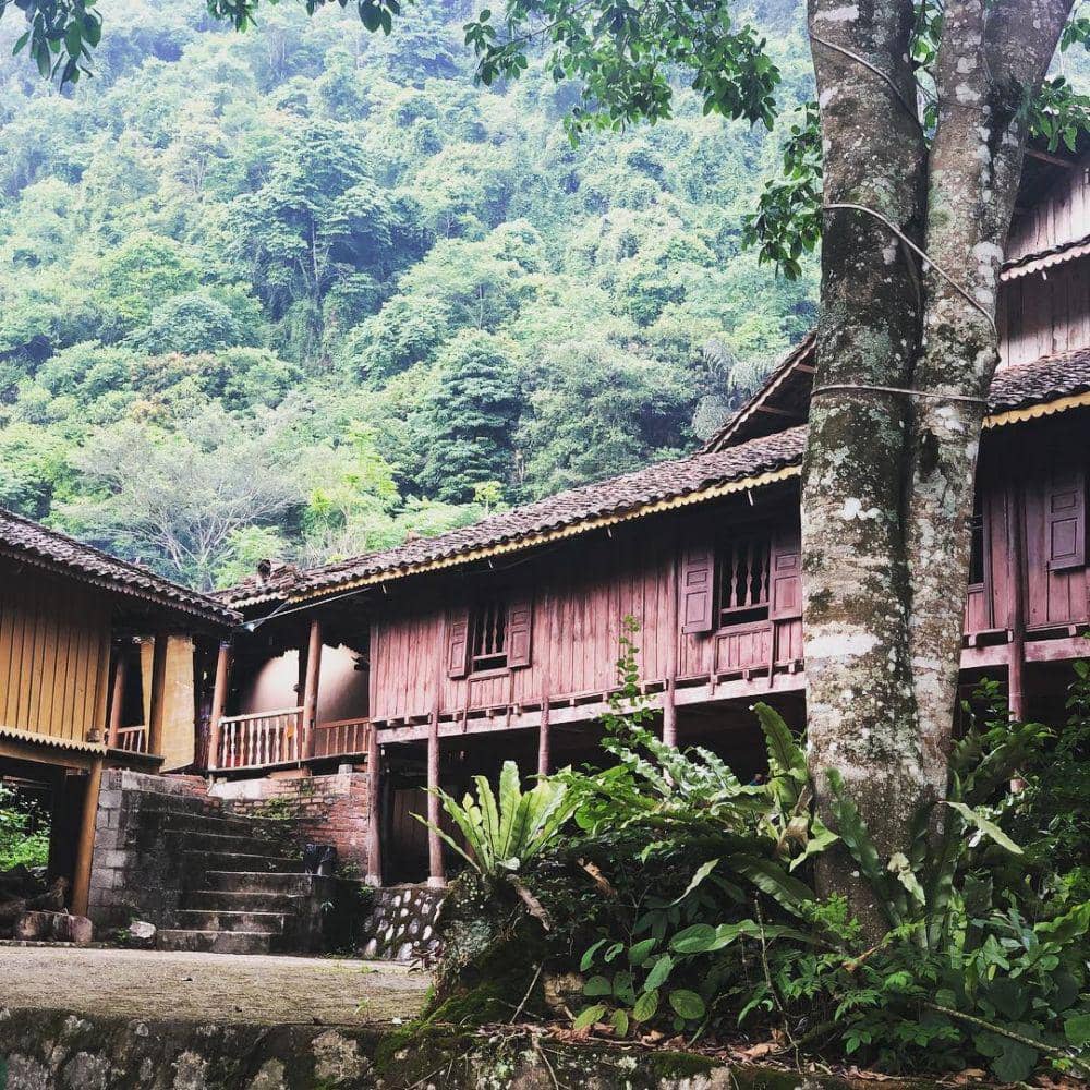 instagram.com/nguyenquynhp