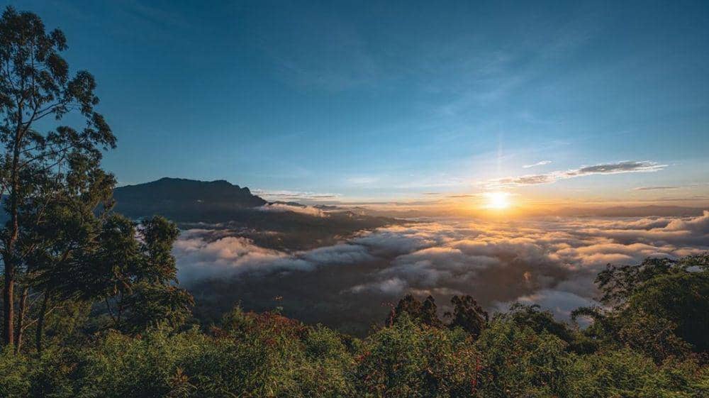 Instagram.com/dionwiyoko