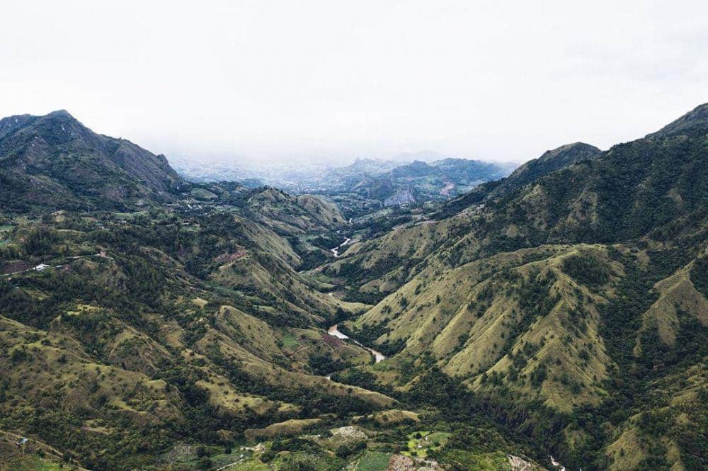 Instagram.com/dionwiyoko