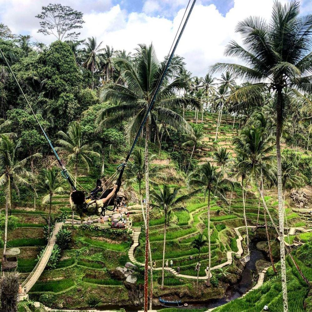 Instagram.com/sssong_yh