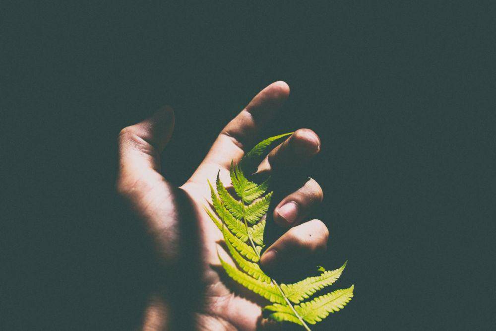 Unsplash.com/Larm Rmah