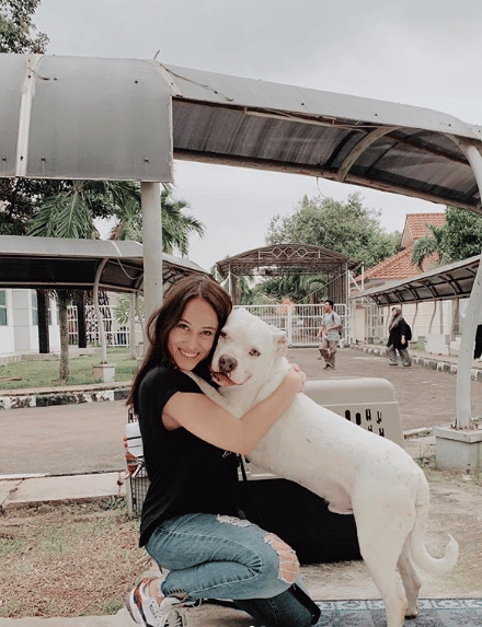 instagram.com/janisaas