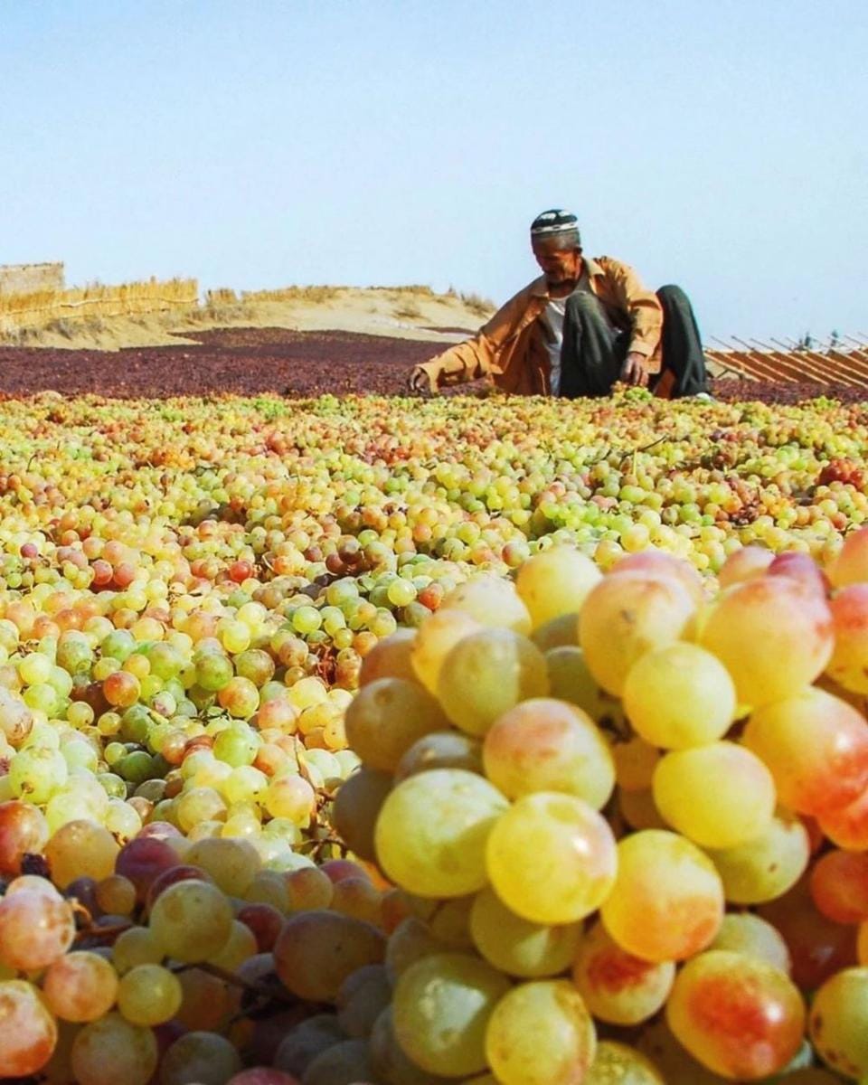 Instagram.com/ins.xinjiang