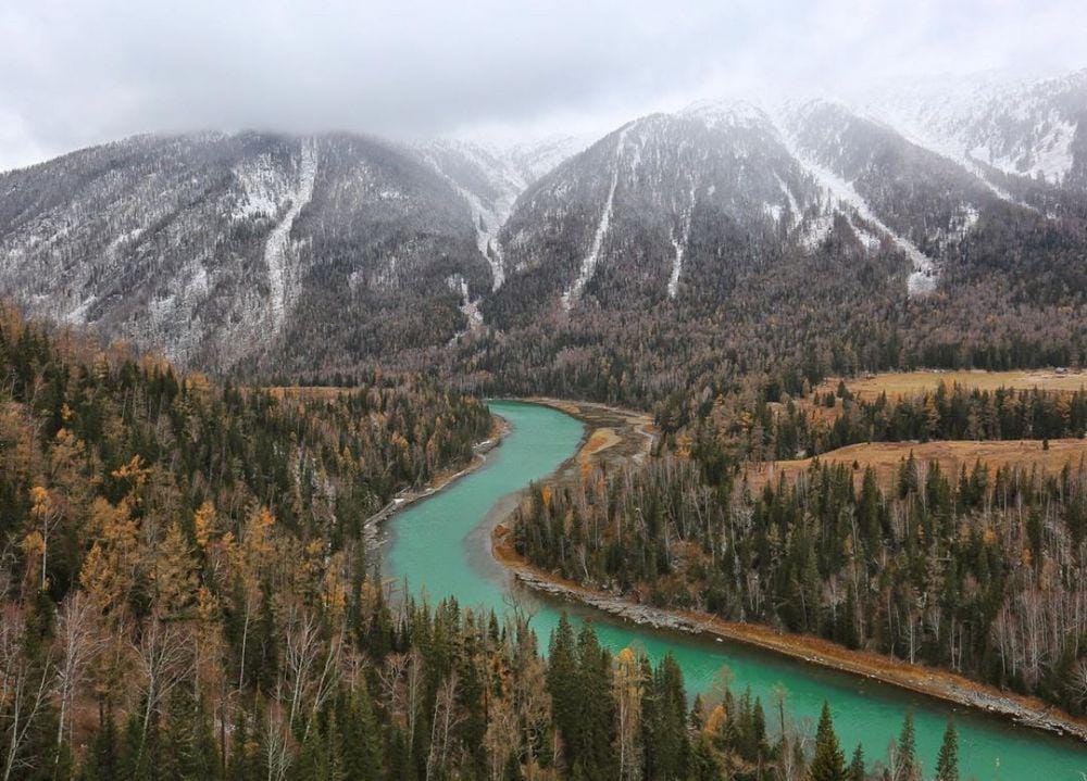 Instagram.com/lizz_zou