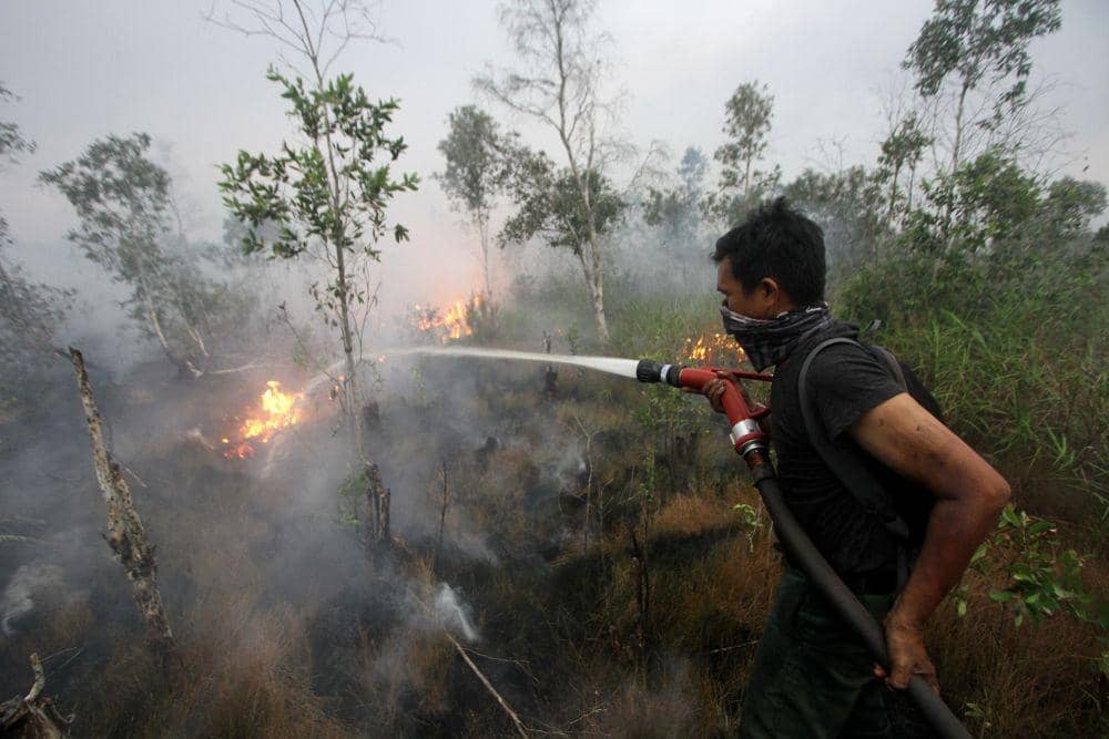 ANTARA FOTO/Bayu Pratama S