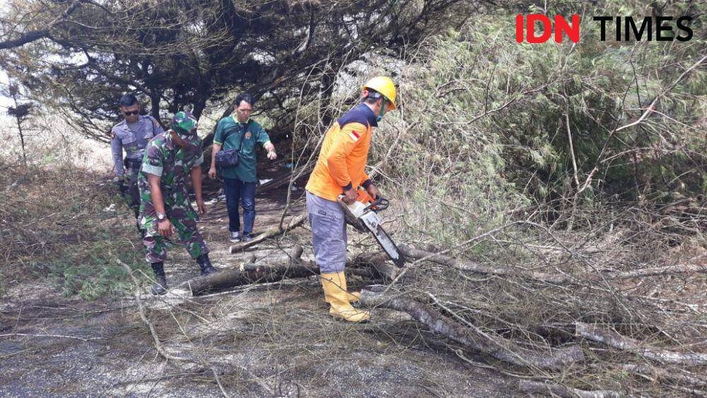 Petugas memotong batang pohon yang melintang di jalan menuju tambak udang. IDN Times/Daruwaskita