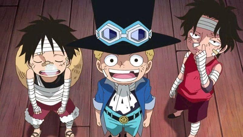 Tahukah Kamu? Ini 5 Cerita Flashback Terpanjang di Komik One Piece!