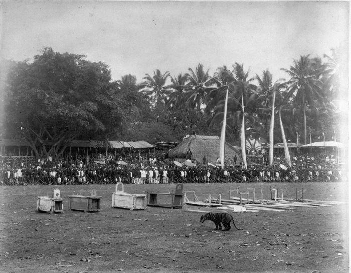 Wikimedia.org