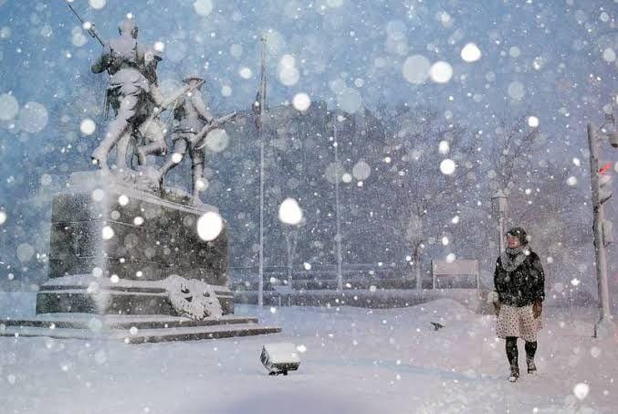 Theguardian/StephenBrun