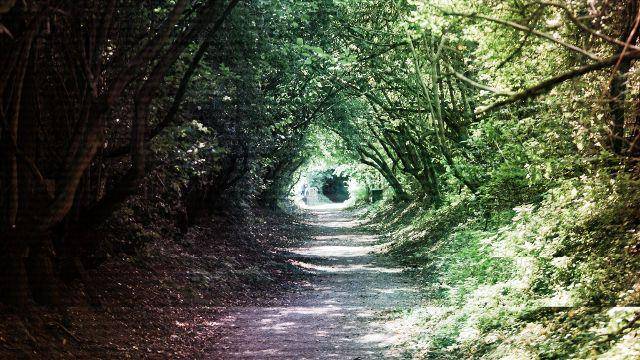 strangerdimensions.com