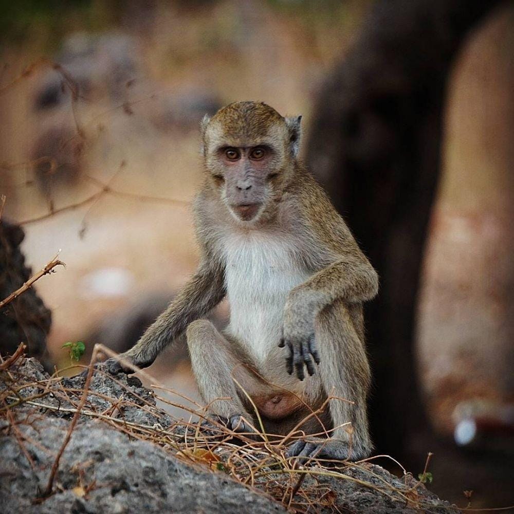 instagram.com/mbakmae