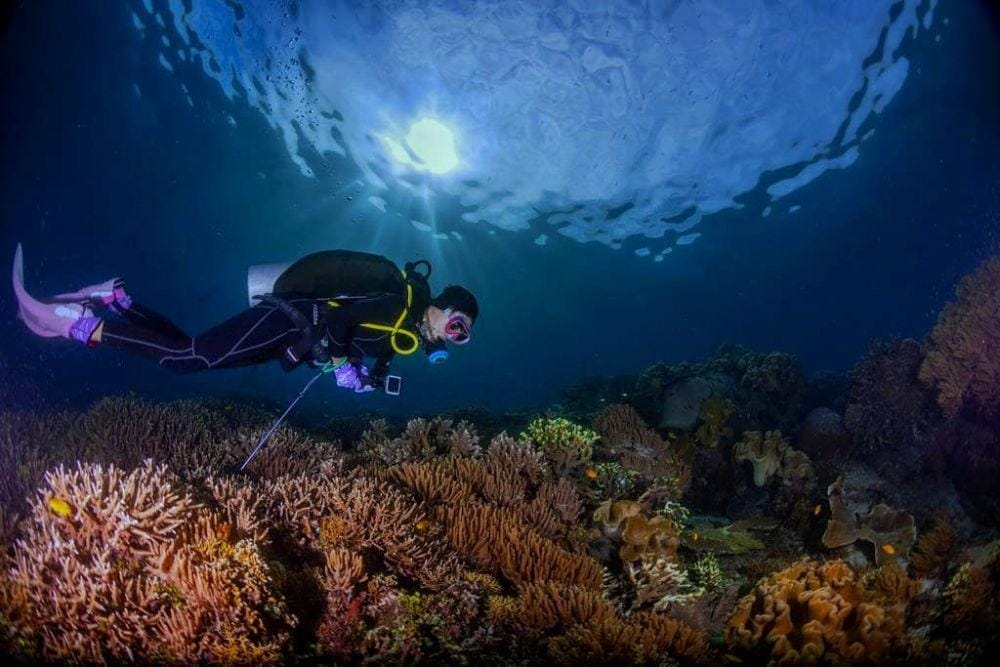 Instagram.com/delladartyan