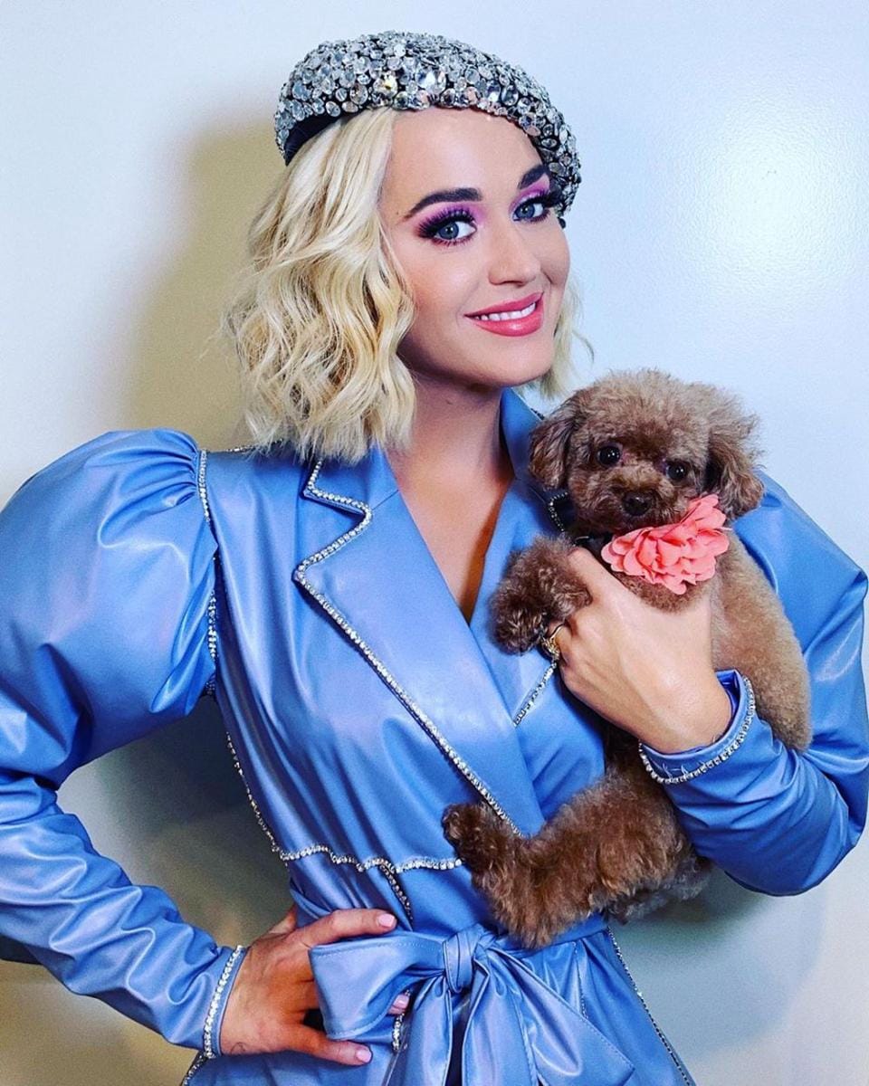 instagram.com/katy perry