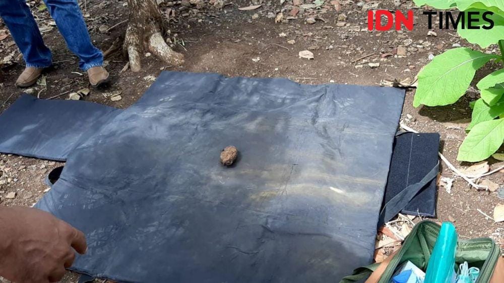 Granat jenis nanas yang masih aktif dievakuasi petugas Gegana Polda DIY. IDN Times/Daruwaskita