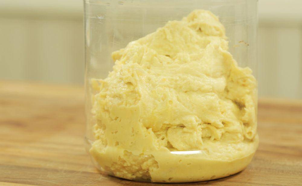 tempoyak