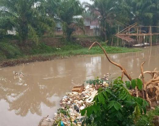 Bangkai babi yang membusuk di Sungai Bedera mengganggu warga sekitar (IDN Times/Istimewa)