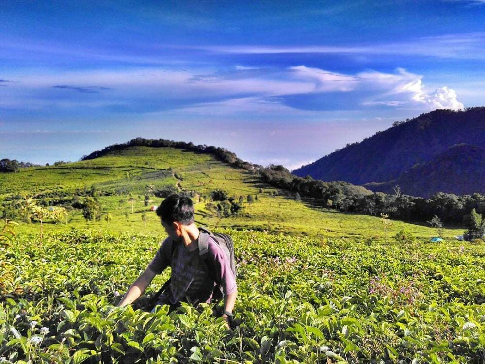 instagram.com/_alifakhruddin