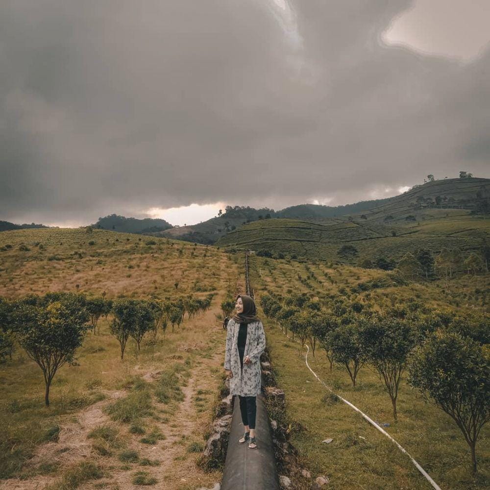 instagram.com/novikaazda