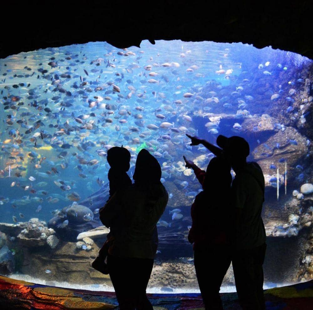 instagram.com/seaworld.ancol