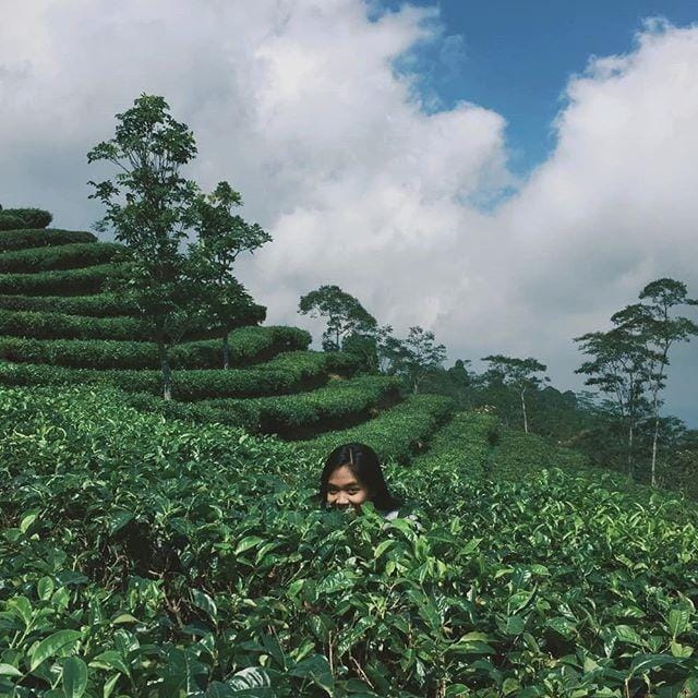 instagram.com/rienadayuki