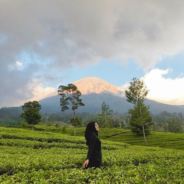 instagram.com/yuniwidi_