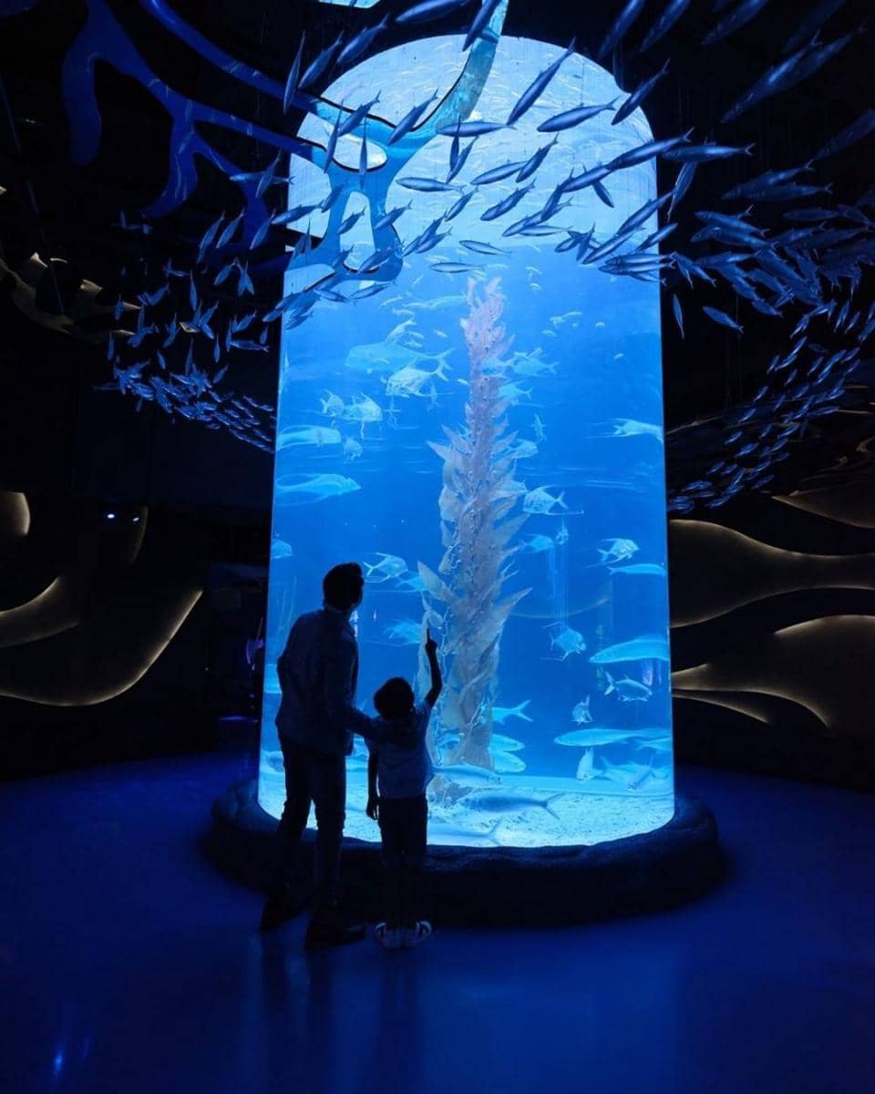 instagram.com/jakartaaquarium