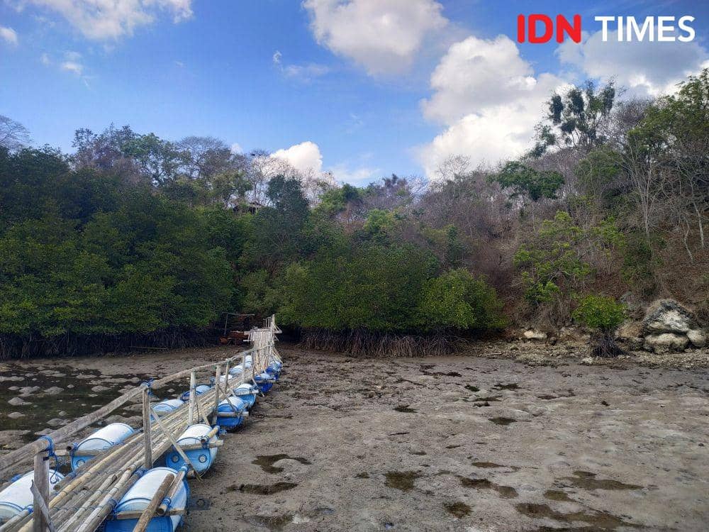 Pantai Pasir Putih Plataran Menjangan. 2 November 2019. IDN Times/Klara Livia
