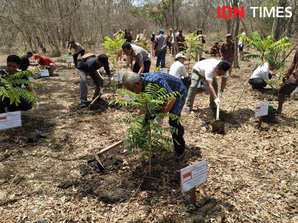 Kegiatan Penanaman Pohon dalam Plataran Extravaganza. 2 November 2019. IDN Times/Klara Livia