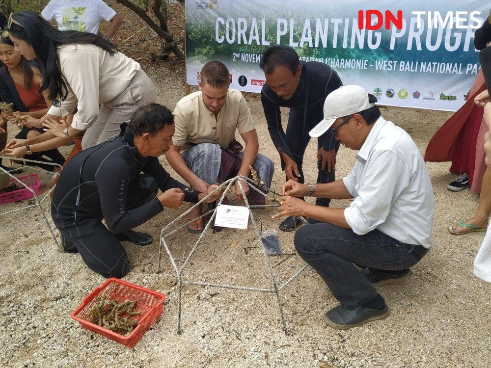 Kegiatan penanaman terumbu karang dalam Plataran Extravaganza. 2 November 2019. IDN Times/Klara Livia