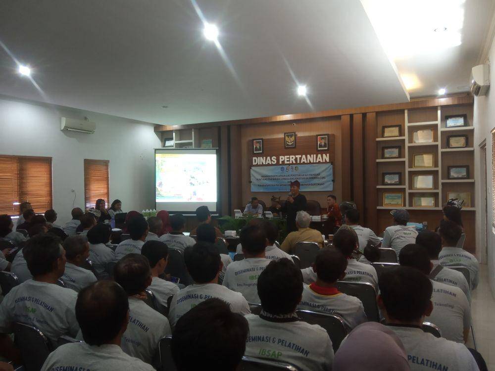IDN Times/Mohamad Ulil Albab