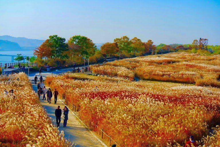 chopsticksandcarryons.com