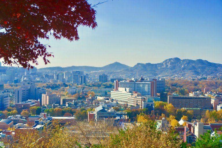 chopsticksandcarryons.com