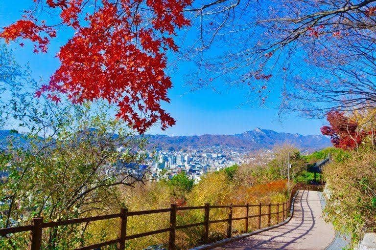 chopsticksandcarryons.com