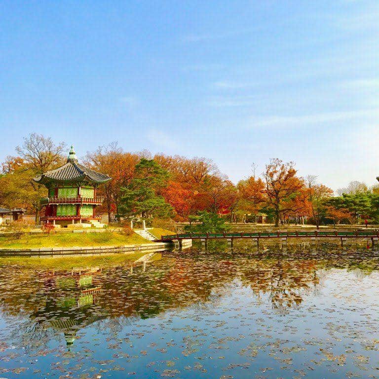 chopsticksandcarryons.com