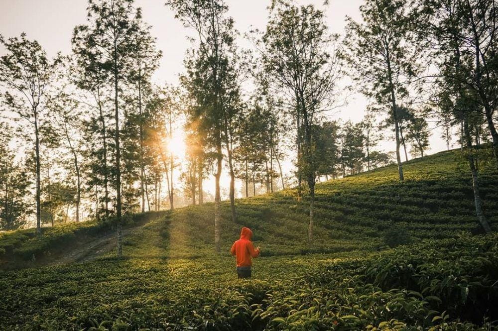 instagram.com/khairoelanwar