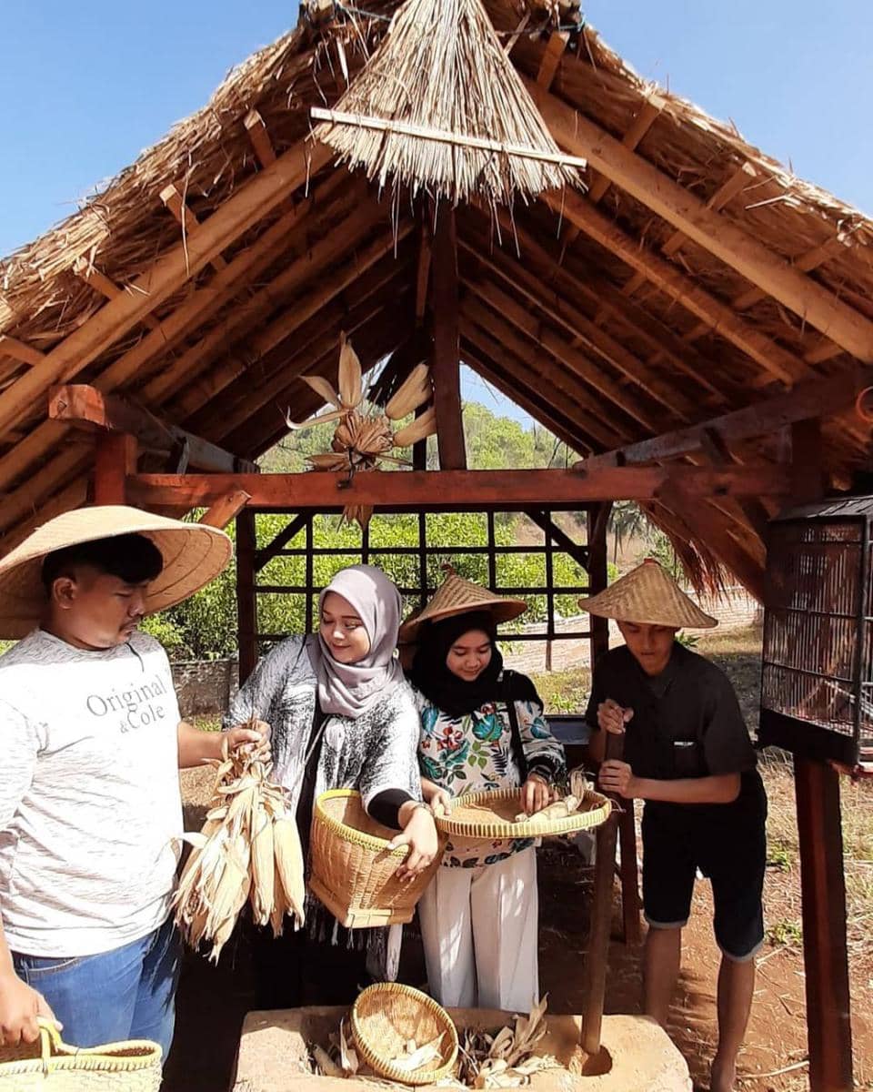 Instagram.com/teraskaca