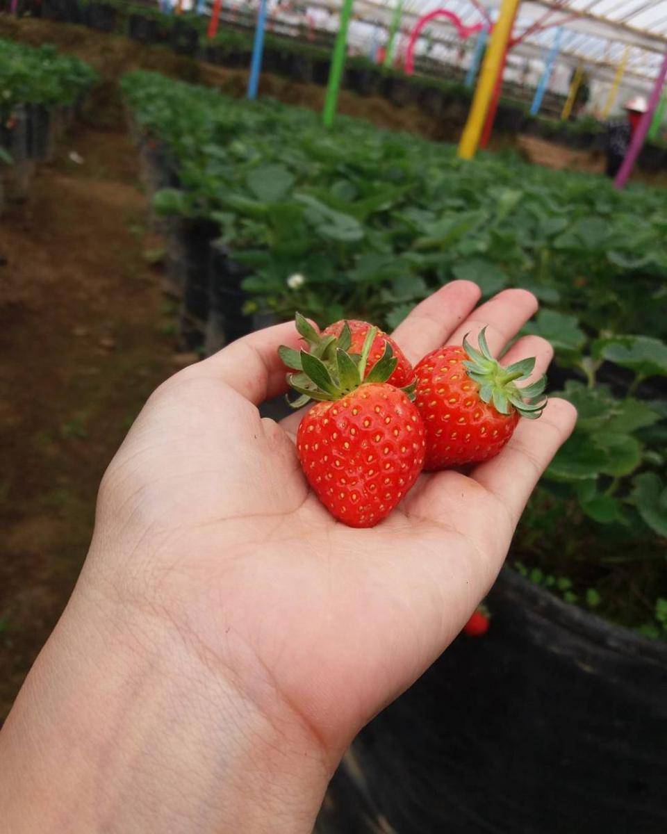 instagram.com/linda_apriati