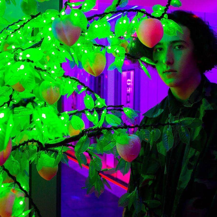 Instagram/franklinjonas