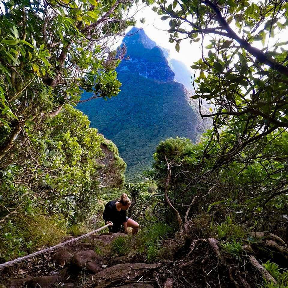 instagram.com/piitafunchtorres