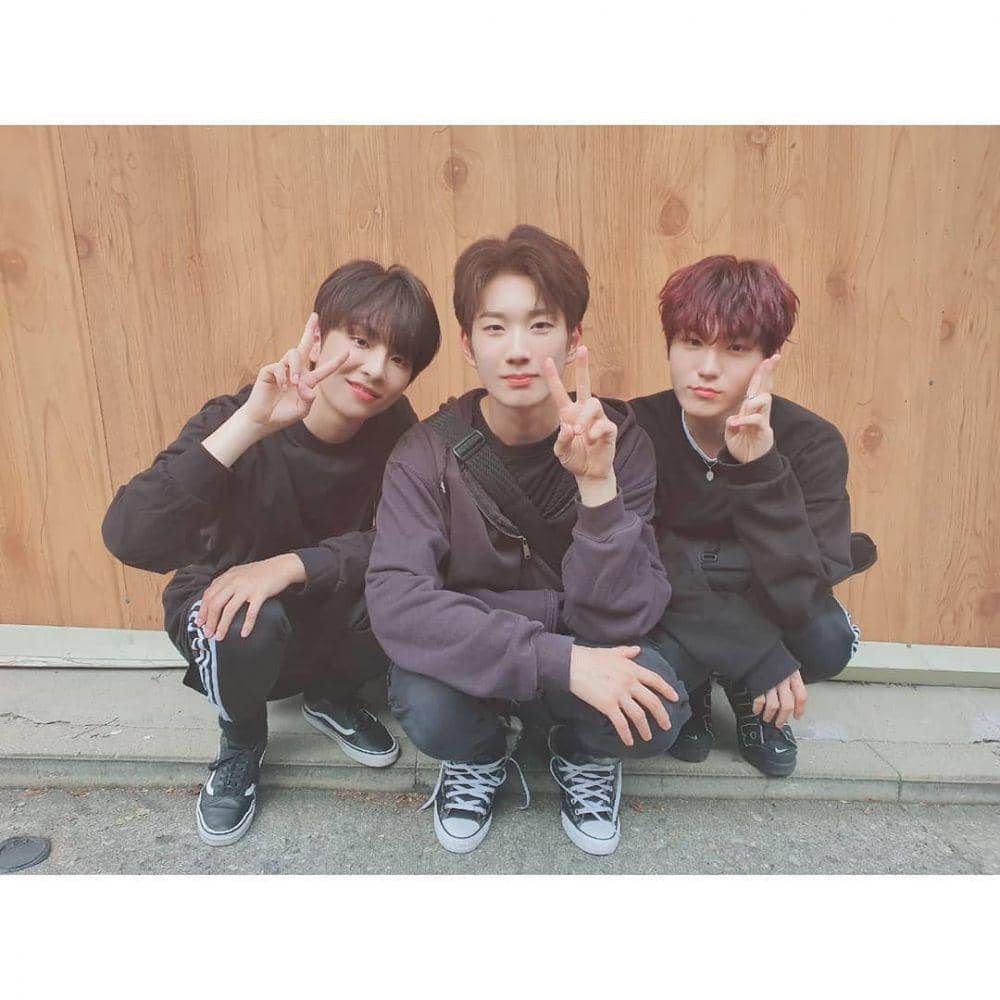 Twitter.com/SincerelyD4