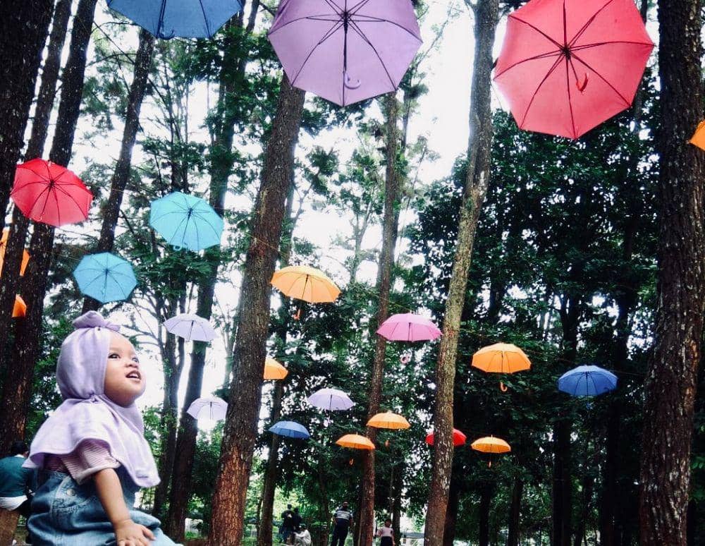 instagram.com/sany.sofyan/